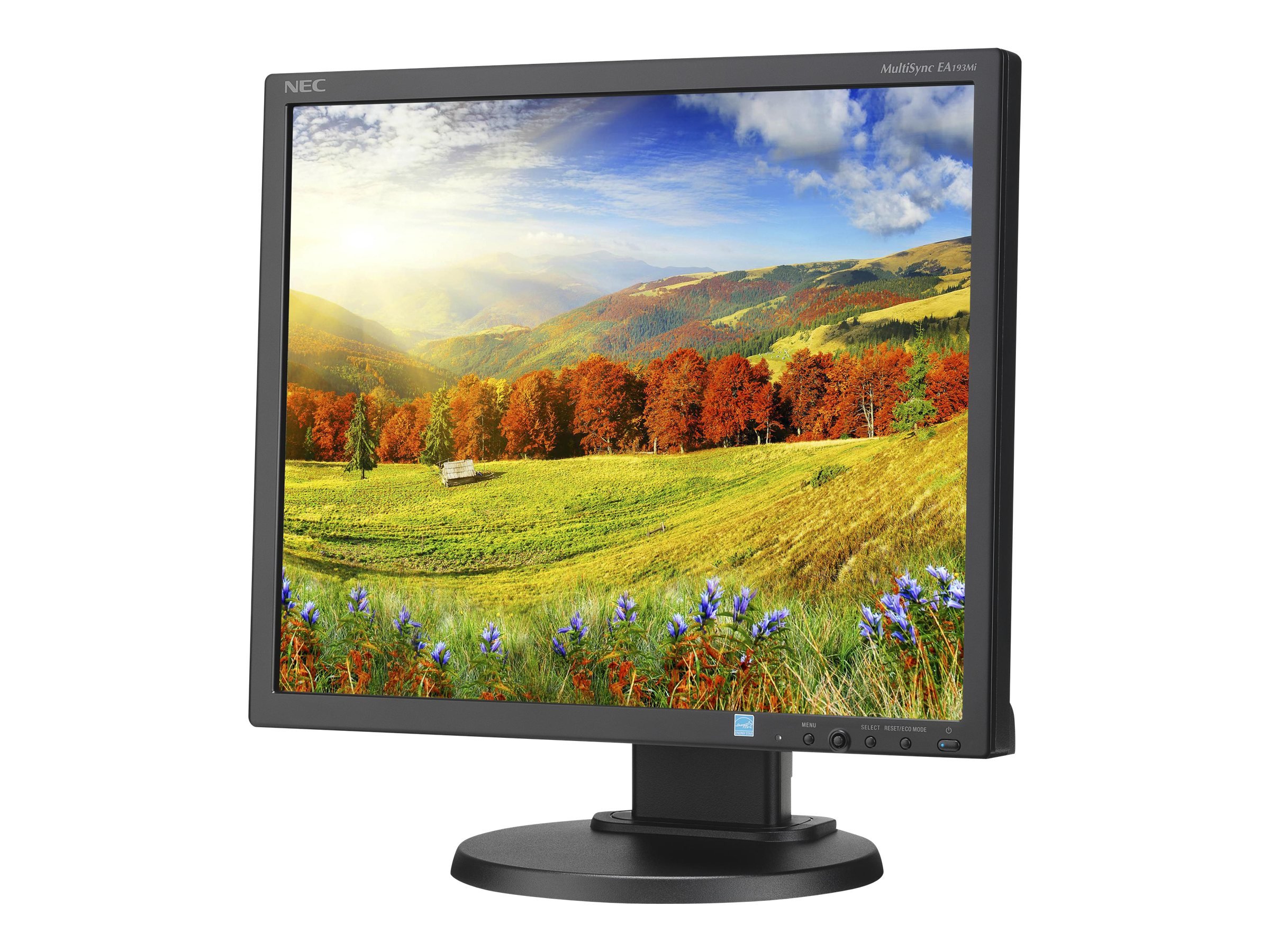 Amazon.com: NEC Display EA193MI-BK MultiSync 19'' LED-Backlit LCD